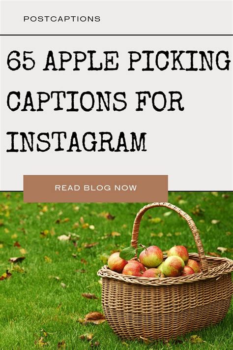 apple picking instagram captions family|apple picking instagram captions.